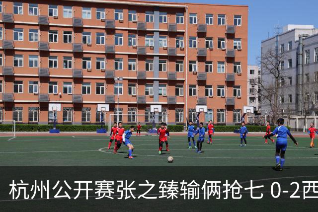 杭州公开赛张之臻输俩抢七 0-2西里奇收获亚军